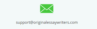 ORIGINAL ESSAY WRITERS